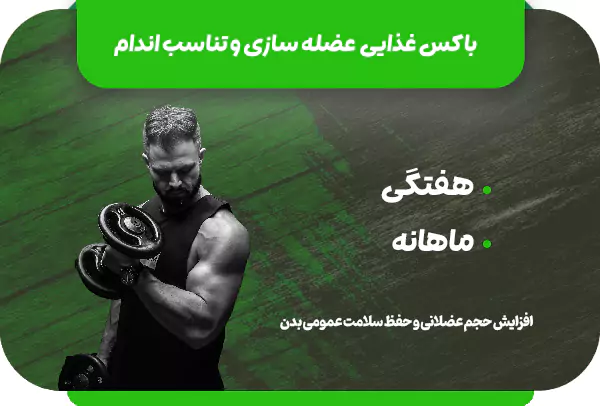 باکس عضله سازی